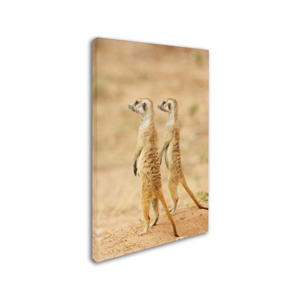 Robert Harding Picture Library 'Two Animals' Canvas Art,16x24
